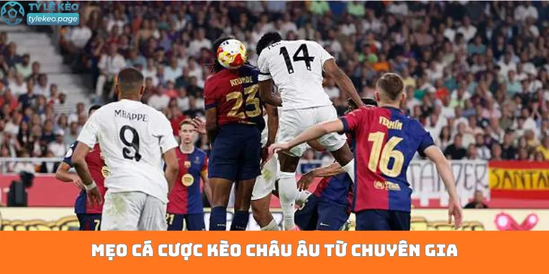 Mẹo cá cược kèo châu Âu từ chuyên gia