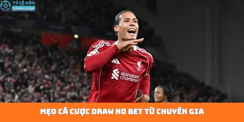 Mẹo cá cược Draw No Bet từ chuyên gia