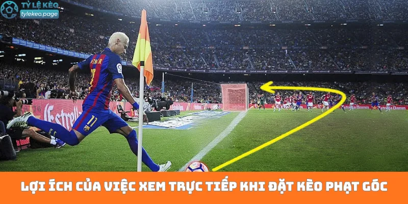 Lợi ích của việc xem trực tiếp khi đặt kèo phạt góc