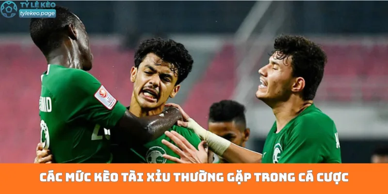 Các mức kèo tài xỉu thường gặp trong cá cược