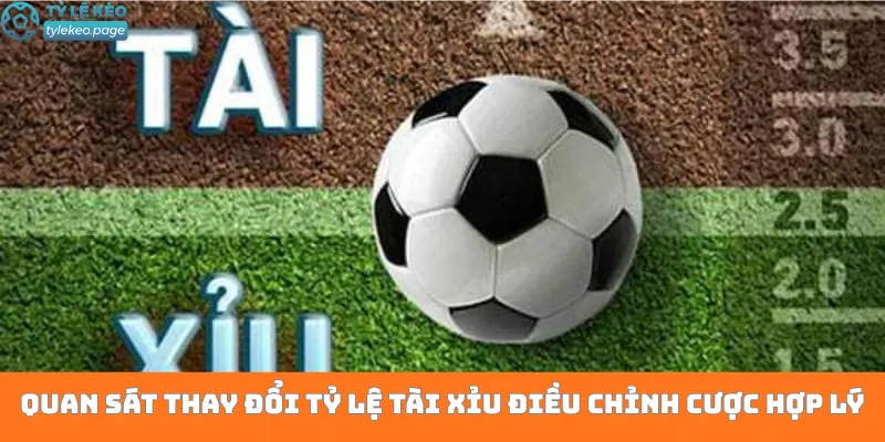 Quan sát thay đổi tỷ lệ tài xỉu để điều chỉnh cược hợp lý