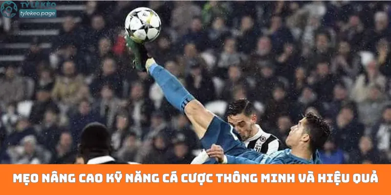 Mẹo nâng cao kỹ năng cá cược thông minh và hiệu quả