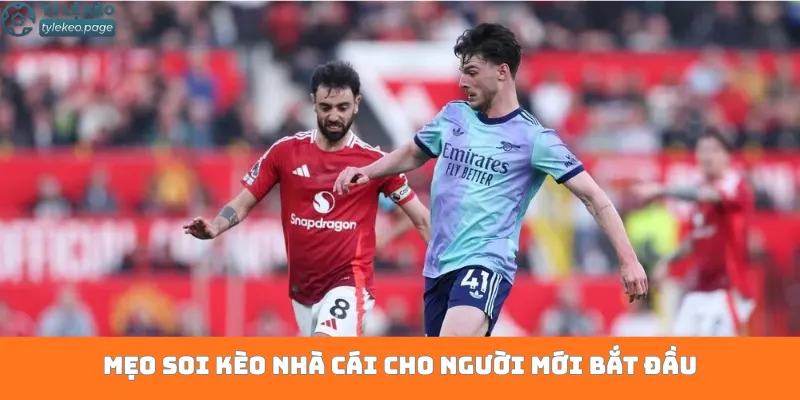 Mẹo soi kèo nhà cái cho người mới bắt đầu