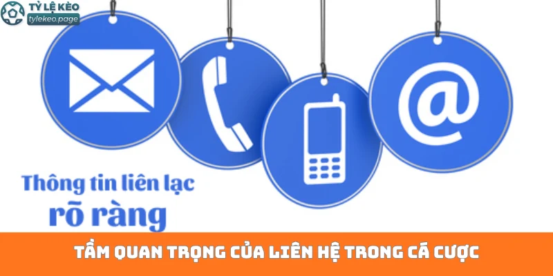 Tầm quan trọng của liên hệ trong cá cược