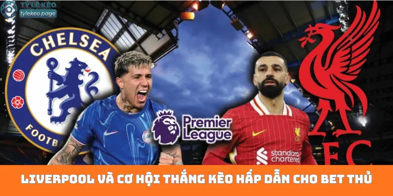 Liverpool và cơ hội thắng kèo hấp dẫn cho bet thủ